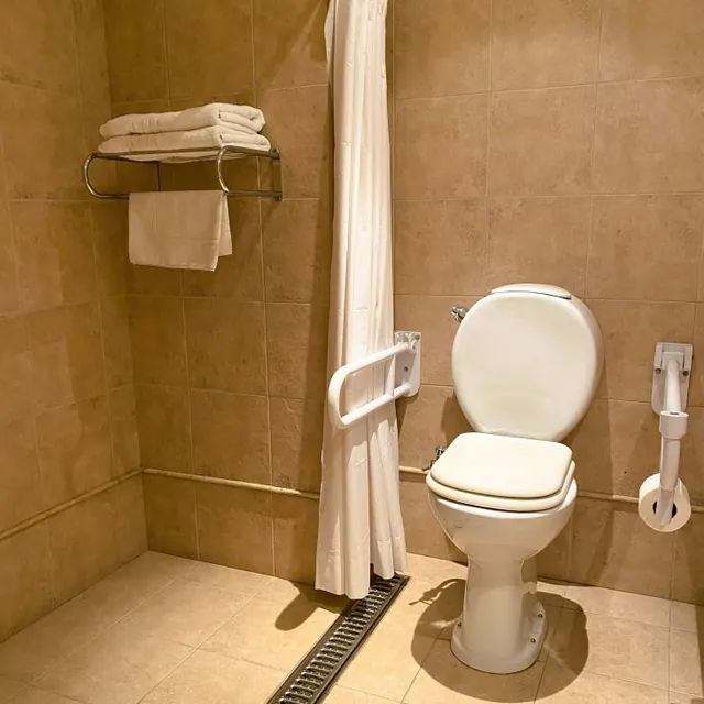 Baño adaptado con barras de apoyo